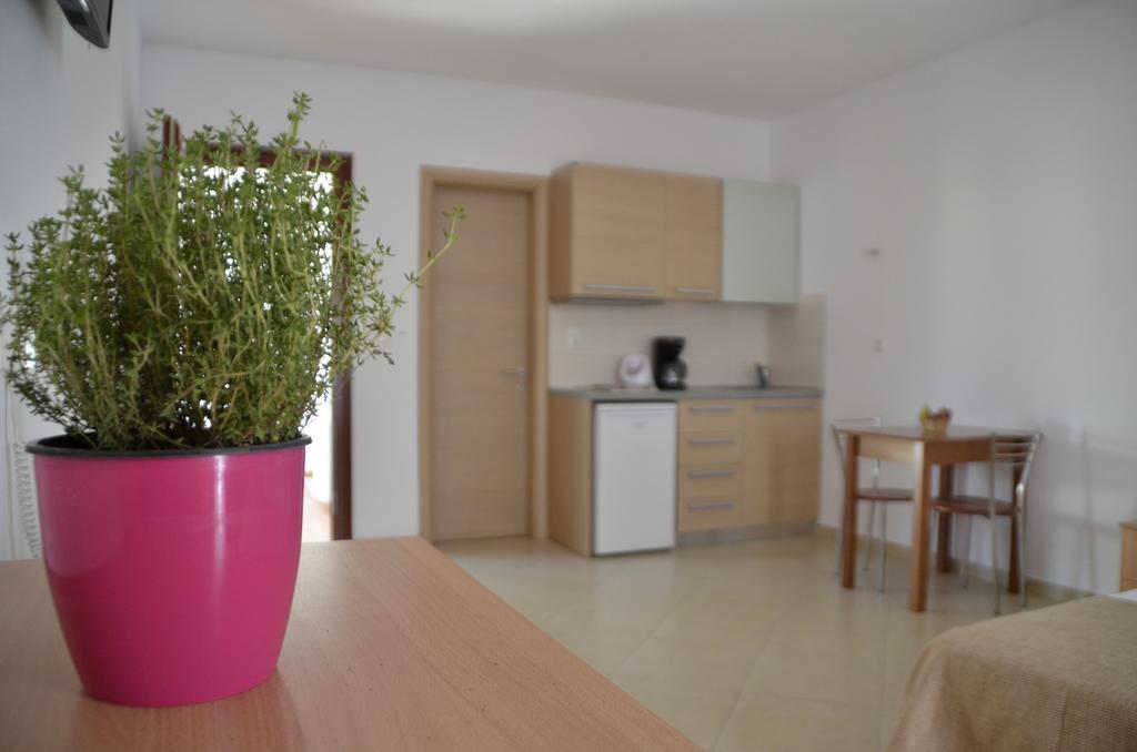 Appartement Alex Mike à Agia Anna  Extérieur photo